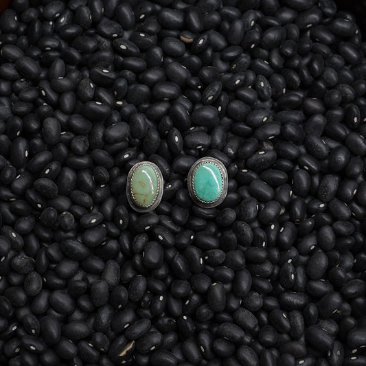 Royston Turquoise Studs