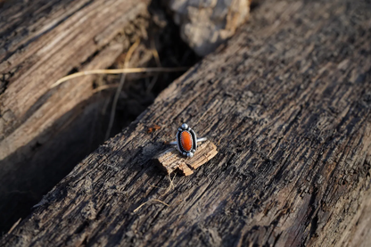 Orange Spiney Oyster Ring | Size 7.5